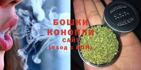 бошки Аркадак