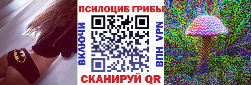 дарнет шоп  Спасск-Дальний  Псилоцибиновые грибы мицелий 