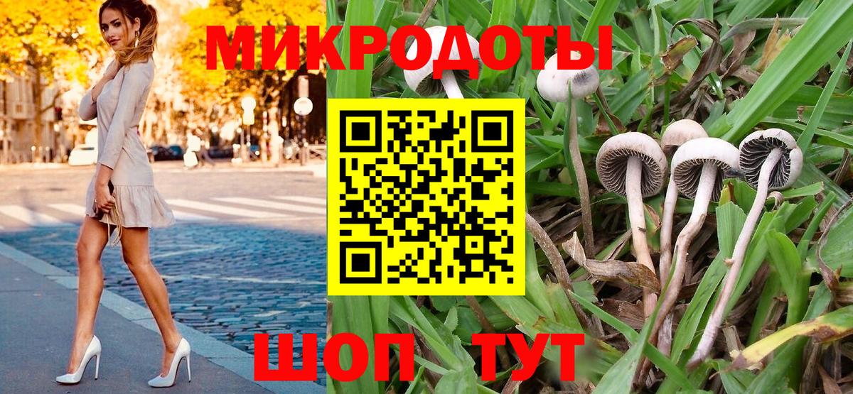 Псилоцибиновые грибы Psilocybine cubensis Спасск-Дальний