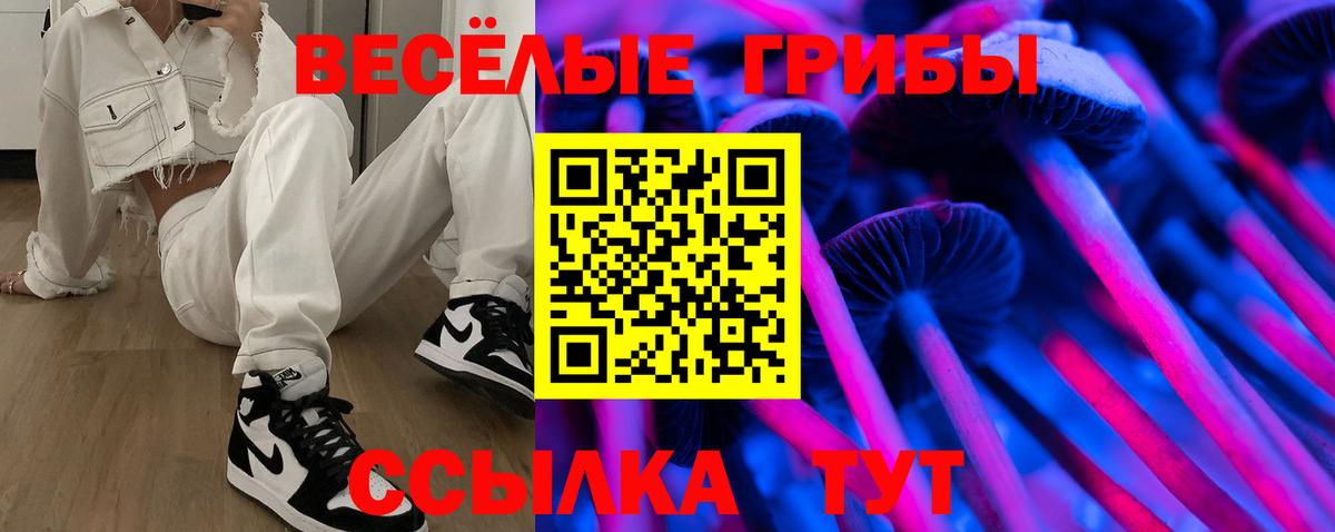 Спасск-Дальний  Псилоцибиновые грибы Psilocybe  Вход с VPN 